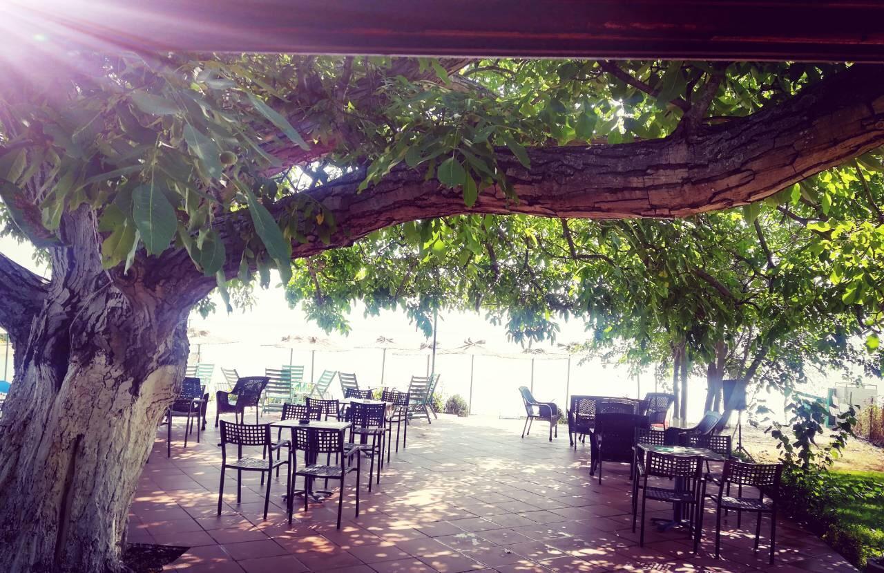 Apartmani Alex Beach Dojran Esterno foto
